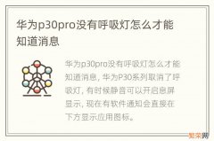 华为p30pro没有呼吸灯怎么才能知道消息