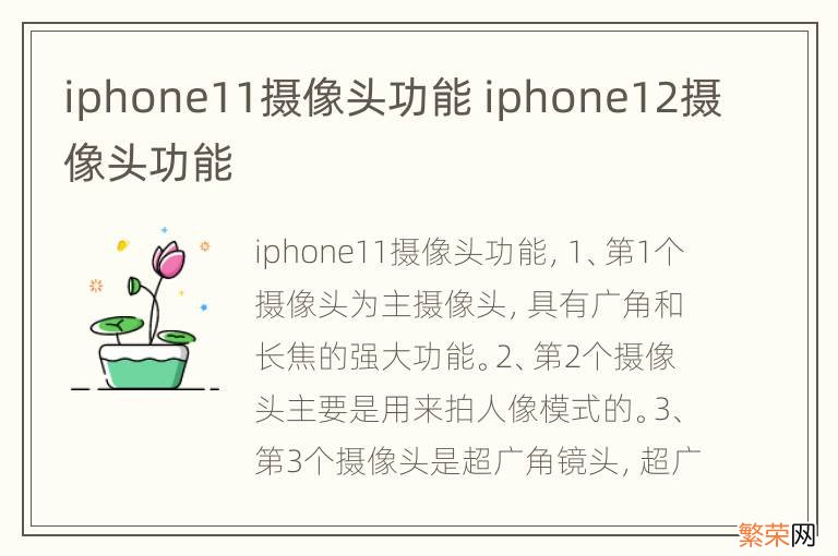 iphone11摄像头功能 iphone12摄像头功能