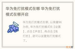 华为免打扰模式在哪 华为免打扰模式在哪开启