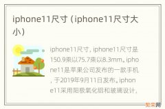 iphone11尺寸大小 iphone11尺寸