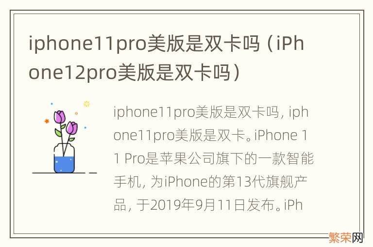 iPhone12pro美版是双卡吗 iphone11pro美版是双卡吗