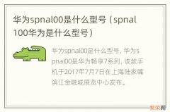 spnal100华为是什么型号 华为spnal00是什么型号