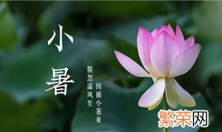 小暑节气应该注意什么 小暑有哪些要注意