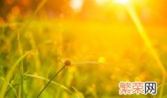 夏至入伏是怎么计算的 夏至的第几天开始入伏呢