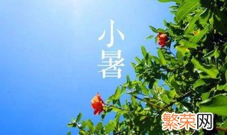 2021小暑节气祝福 2021小暑节气祝福简单介绍