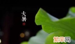 2021牛年大暑节气搬家好不好 大暑节气介绍