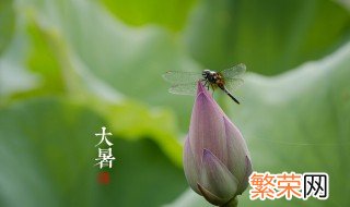 节气大暑一共多少天 大暑一共15天对吗