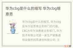 华为cbg是什么的缩写 华为cbg啥意思