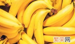 芭蕉香蕉还有什么蕉 芭蕉和香蕉是一个东西吗