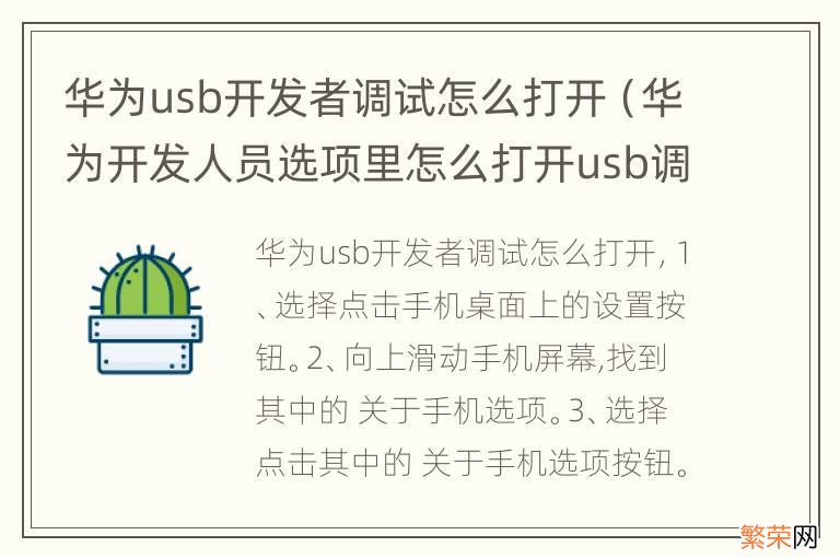 华为开发人员选项里怎么打开usb调试 华为usb开发者调试怎么打开