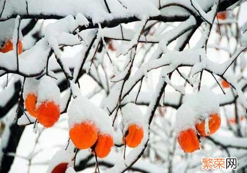 霜降节气特点的诗句 霜降节气特点