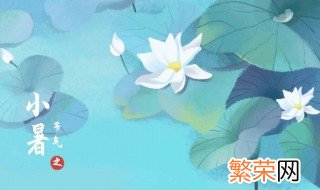 2021小暑节气的含义是什么意思 2021小暑节气的含义简单介绍