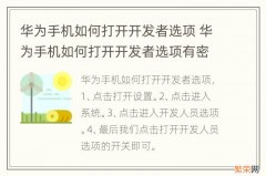 华为手机如何打开开发者选项 华为手机如何打开开发者选项有密码