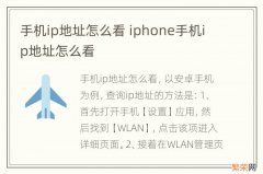 手机ip地址怎么看 iphone手机ip地址怎么看
