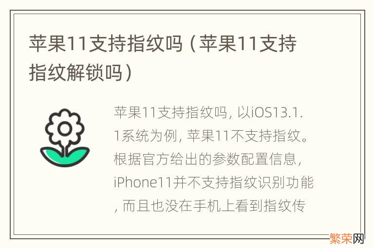 苹果11支持指纹解锁吗 苹果11支持指纹吗