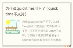 quicktime不支持 为什么quicktime用不了