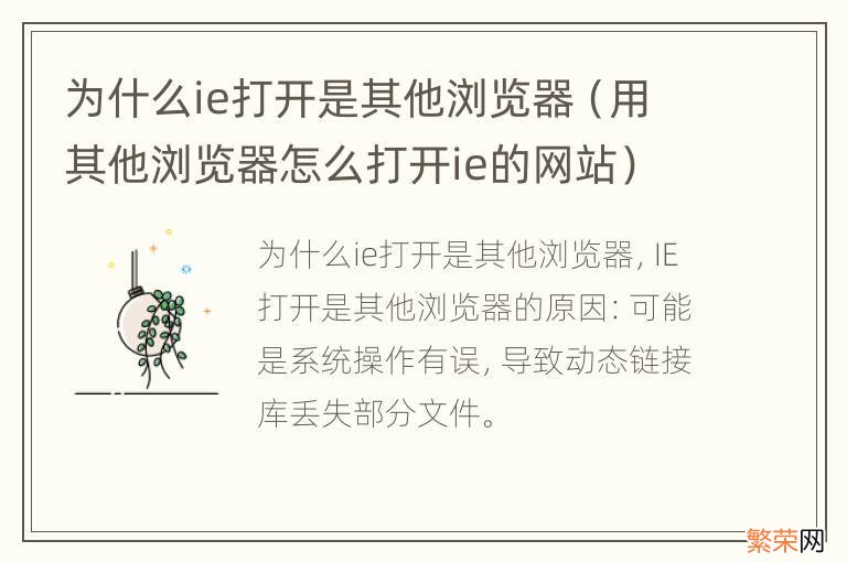 用其他浏览器怎么打开ie的网站 为什么ie打开是其他浏览器