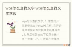 wps怎么查找文字 wps怎么查找文字字数