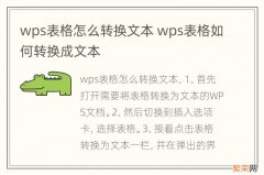 wps表格怎么转换文本 wps表格如何转换成文本