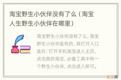 淘宝人生野生小伙伴在哪里 淘宝野生小伙伴没有了么