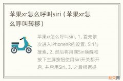 苹果xr怎么呼叫转移 苹果xr怎么呼叫siri