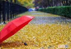 处暑下雨好吗 处暑有雨吗