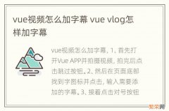 vue视频怎么加字幕 vue vlog怎样加字幕