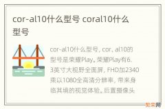 cor-al10什么型号 coral10什么型号