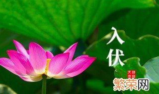 二零二一年入伏时间 三伏天计算方法介绍