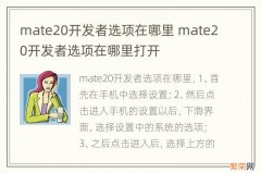 mate20开发者选项在哪里 mate20开发者选项在哪里打开