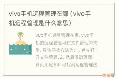 vivo手机远程管理是什么意思 vivo手机远程管理在哪