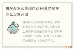 拼多多怎么关闭自动开团 拼多多怎么设置开团