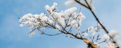 小雪是农历几月几日 小雪是几月几日?