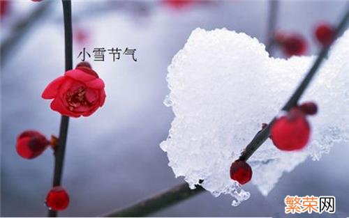 小雪养生文案 小雪养生