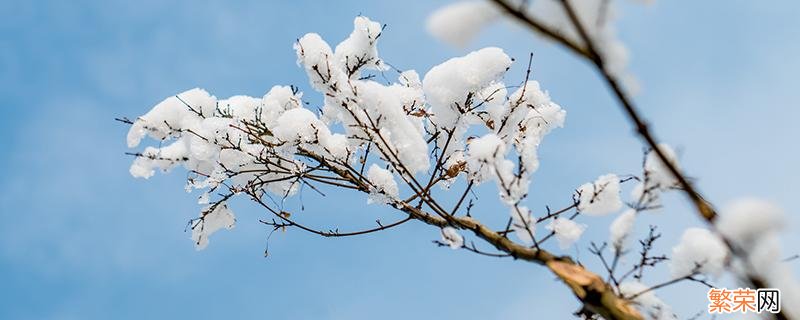 小雪节气穿什么衣服 小雪节气注意什么