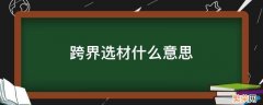 跨界选材理解 跨界选材什么意思