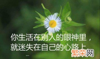 经典句子人生感悟 感悟人生的句子