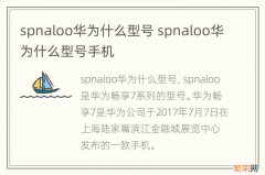 spnaloo华为什么型号 spnaloo华为什么型号手机