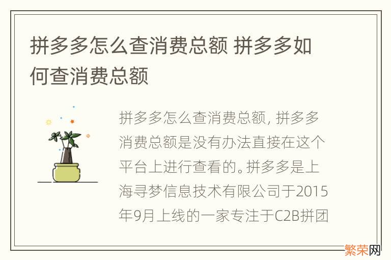 拼多多怎么查消费总额 拼多多如何查消费总额