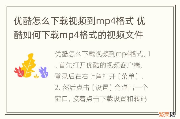 优酷怎么下载视频到mp4格式 优酷如何下载mp4格式的视频文件