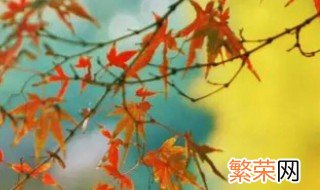 秋分时间 时间是9月22日