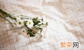 黄色雏菊可以送人吗 雏菊可以送人吗