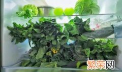 塑料袋装蔬菜可以放冰箱吗 蔬菜能用塑料袋放冰箱吗