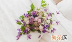 鲜花能放冰箱冷藏吗 鲜花放冰箱冷藏可以保鲜多久