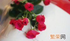 16朵粉色玫瑰花语是什么意思 16朵粉玫瑰花语是什么