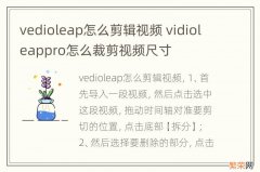 vedioleap怎么剪辑视频 vidioleappro怎么裁剪视频尺寸