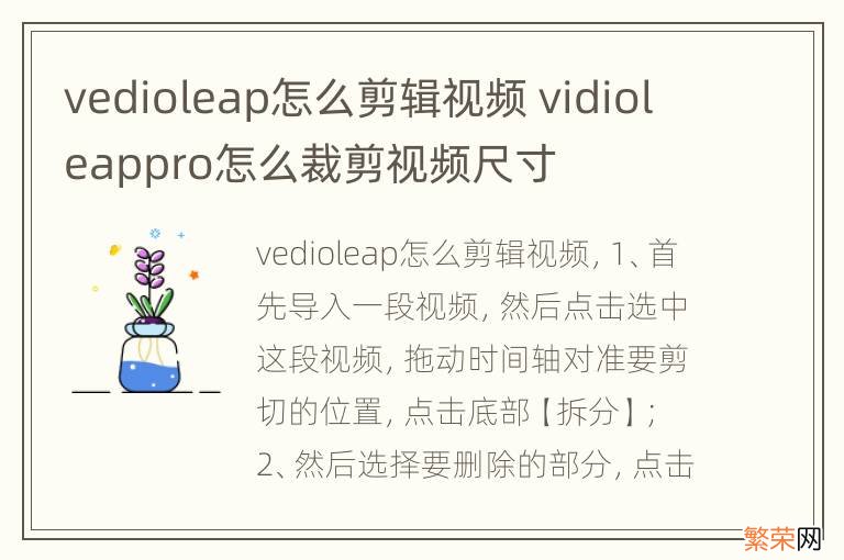 vedioleap怎么剪辑视频 vidioleappro怎么裁剪视频尺寸