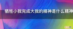 牺牲小我完成大我的精神是什么精神 牺牲小我完成大我的精神是什么精神高级词汇