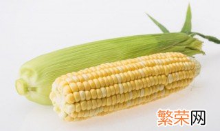 玉米泡水一晚上后再煮熟可以吃吗 玉米泡一晚上再煮好吗