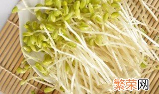 绿豆芽是什么发育来的 绿豆芽是什么